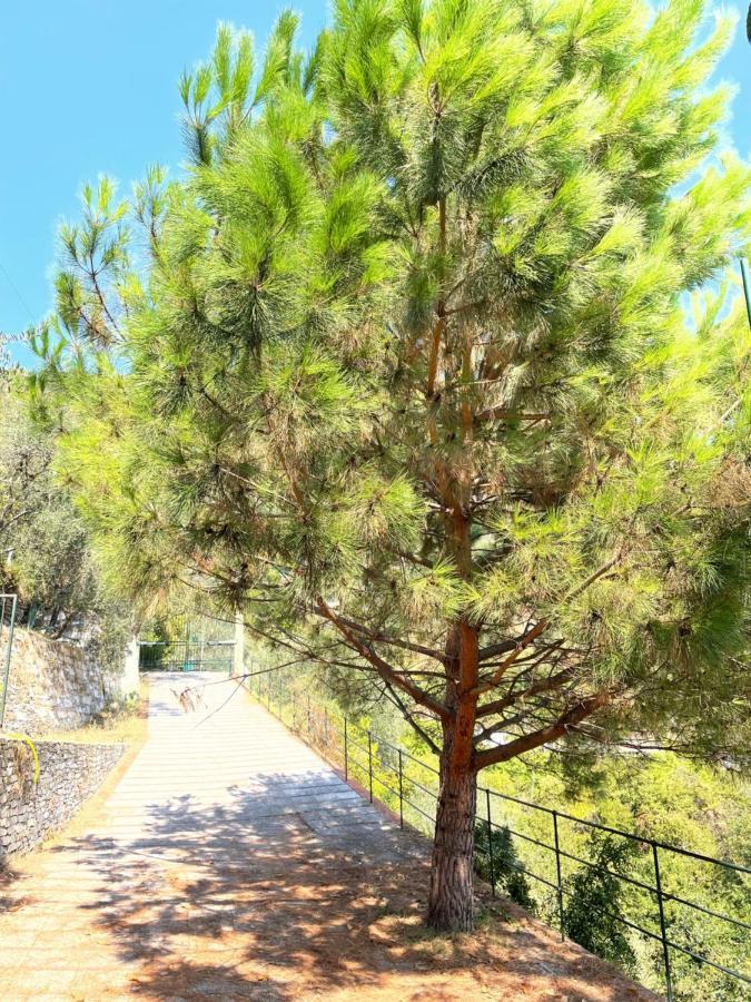 La Riviera Bed & Breakfast Bed and Breakfast Ραπάλο Εξωτερικό φωτογραφία
