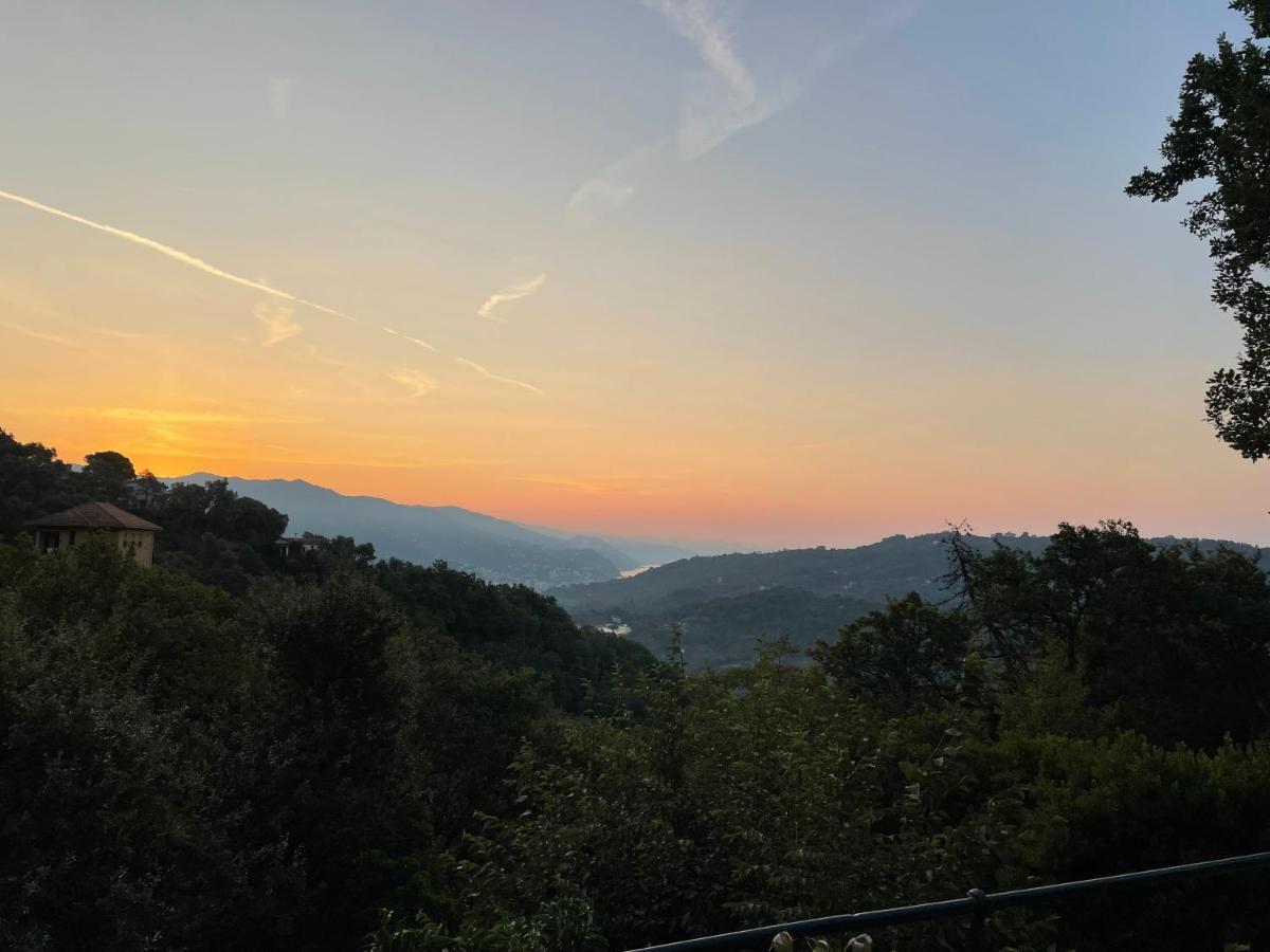 La Riviera Bed & Breakfast Bed and Breakfast Ραπάλο Εξωτερικό φωτογραφία