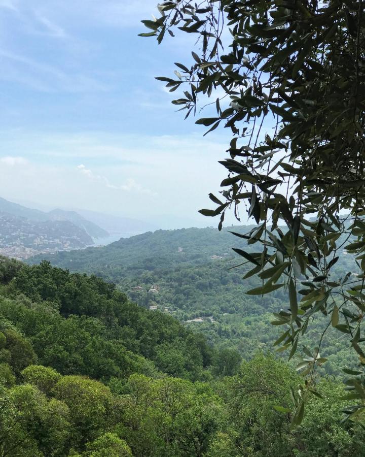 La Riviera Bed & Breakfast Bed and Breakfast Ραπάλο Εξωτερικό φωτογραφία