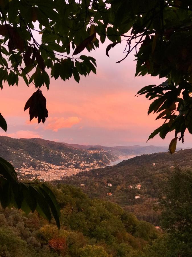 La Riviera Bed & Breakfast Bed and Breakfast Ραπάλο Εξωτερικό φωτογραφία