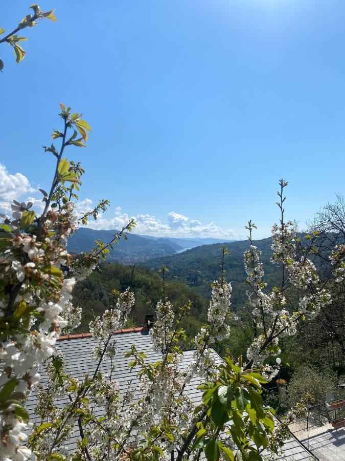 La Riviera Bed & Breakfast Bed and Breakfast Ραπάλο Εξωτερικό φωτογραφία